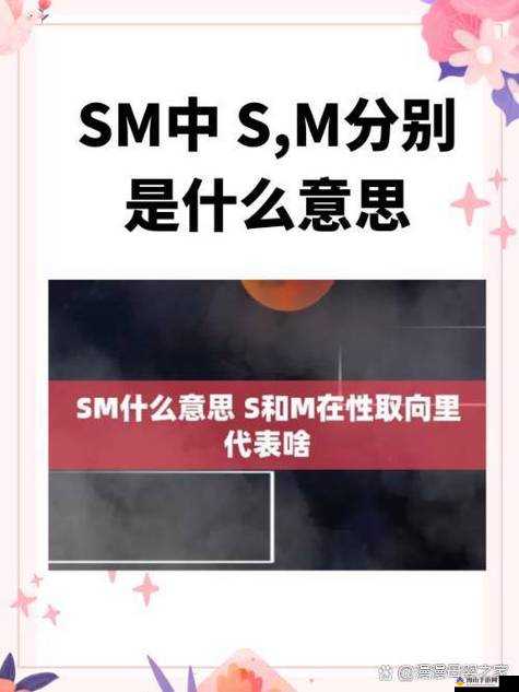 极致爽躁多水快感且深点的 SM 体验相关内容探讨